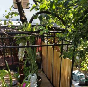 2015 11 PERGOLA ACIER ET MÉLÈZE JARDIN DE VILLE PARIS 14 - RESULTAT